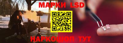 мяу мяу мука Краснознаменск