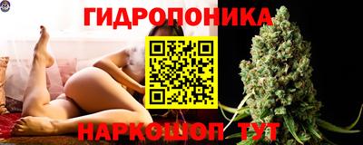 мяу мяу мука Краснознаменск