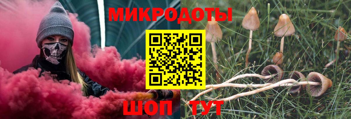 Псилоцибиновые грибы мицелий  Псилоцибиновые грибы Psilocybine cubensis  Кимовск  Вход с VPN 